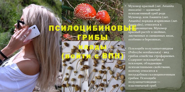 а пвп мука Аркадак
