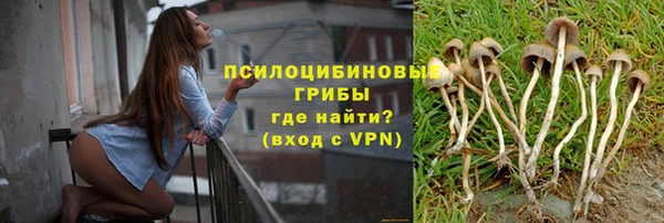 Альфа ПВП Арсеньев