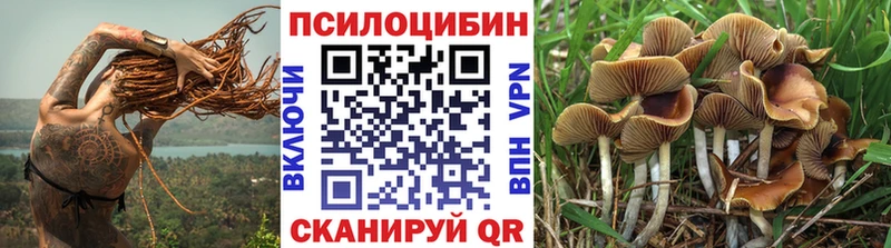 Галлюциногенные грибы ЛСД  цены наркотик  Нарткала 